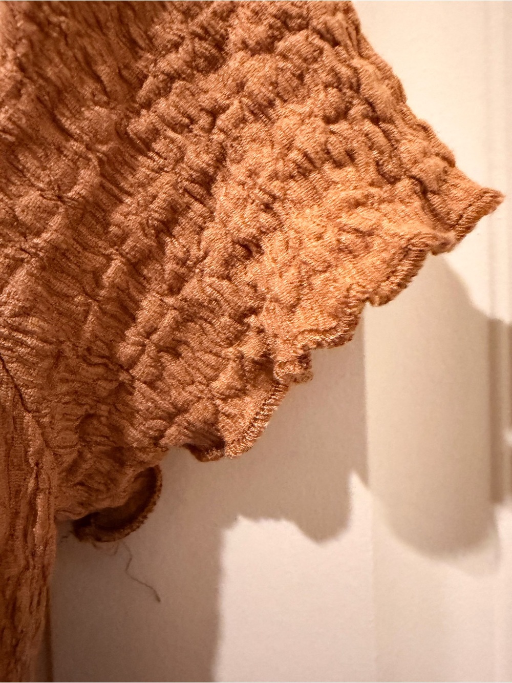 Sanctuary Textured Button-Front Top in Rust - Picture 5 of 7
